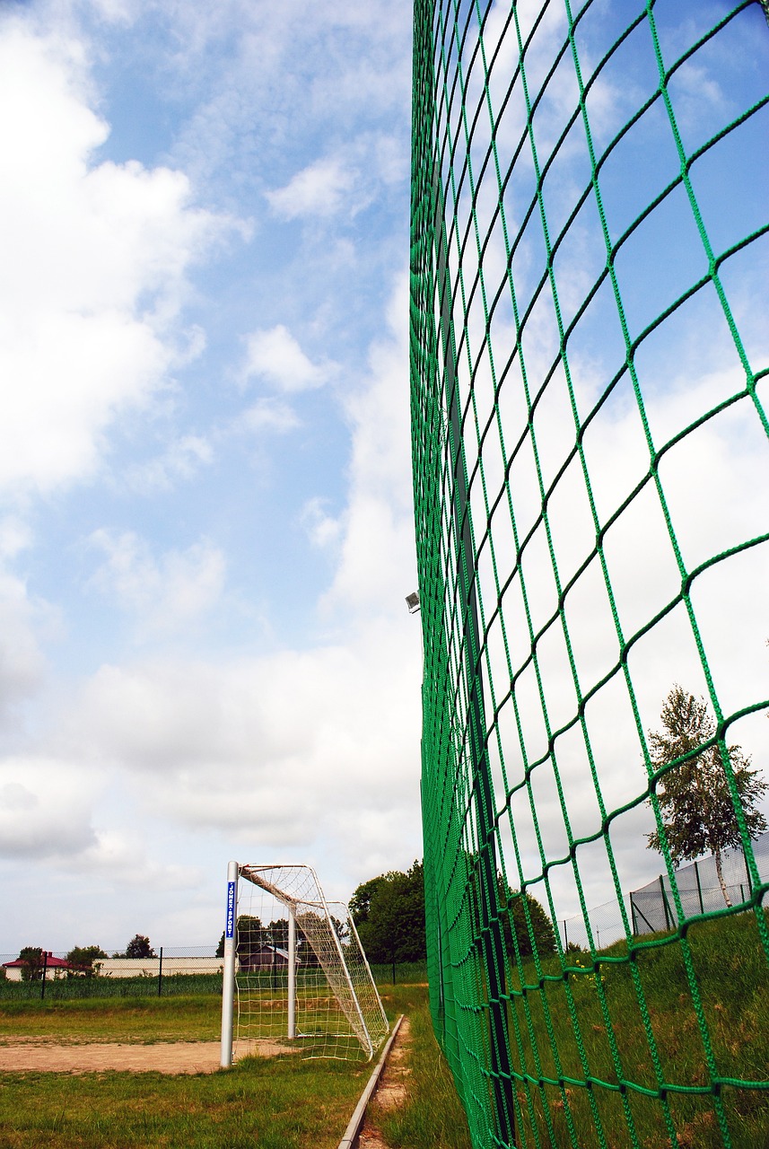 羽坛比赛体 羽坛比赛体